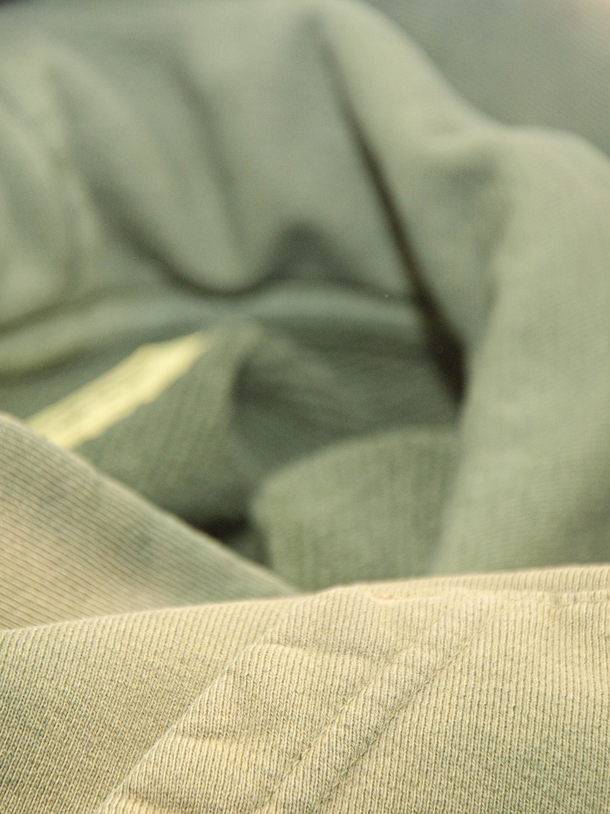 Publik Brand Double Layered Hoodie Reseda Green Heavyweight Fleece, all made in USA, fabric texture detail